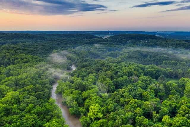 The treetops of the Amazon rainforest.