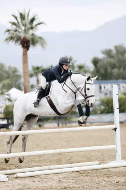 A jockey races their horse over a jump.