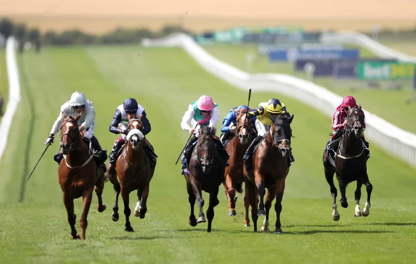 Race horses during a race.