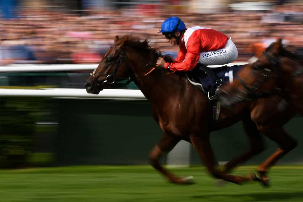 Blurred image of a horse and jockey in full flight.