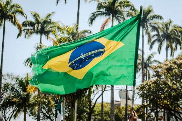 The Brazilian national flag waves in front of palm trees.