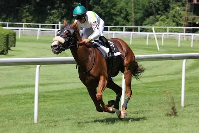 A jockey races a horse around a track.