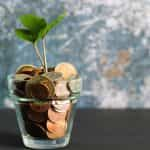 A plant growing in a glass of coins.