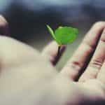 A person’s outstretched palm with a small plant bud growing out of its center.