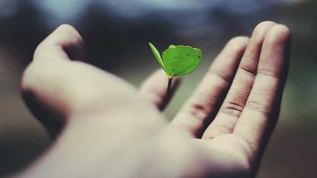 A person’s outstretched palm with a small plant bud growing out of its center.