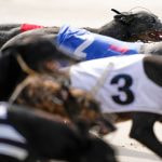 Greyhounds sprinting towards the opening bend at Romford Stadium.